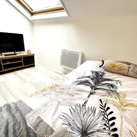 Lenova4 - Centre-ville - Tv - Wifi Apartament